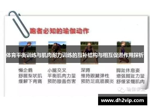 体育平衡训练与肌肉耐力训练的互补结构与相互促进作用探析